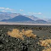 Antofagasta de la Sierra